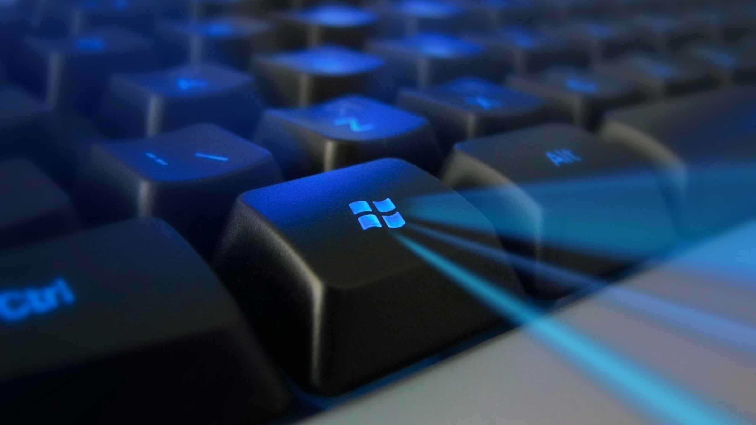 papel tapiz cse,teclado,azul,tecnología,dispositivo de entrada
