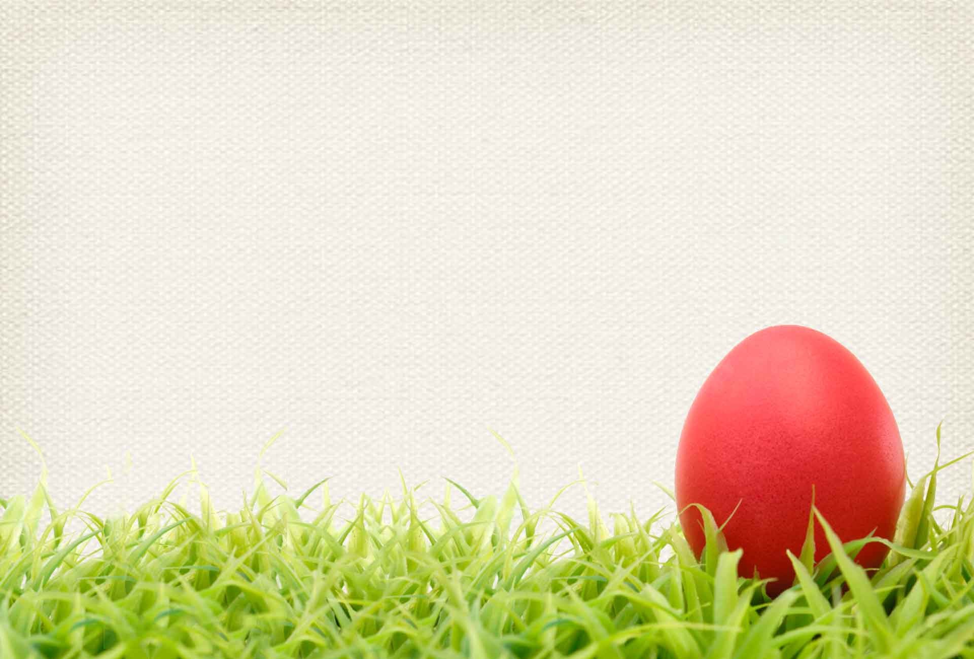 egg wallpaper,grass,easter egg,egg,lacrosse ball,ball