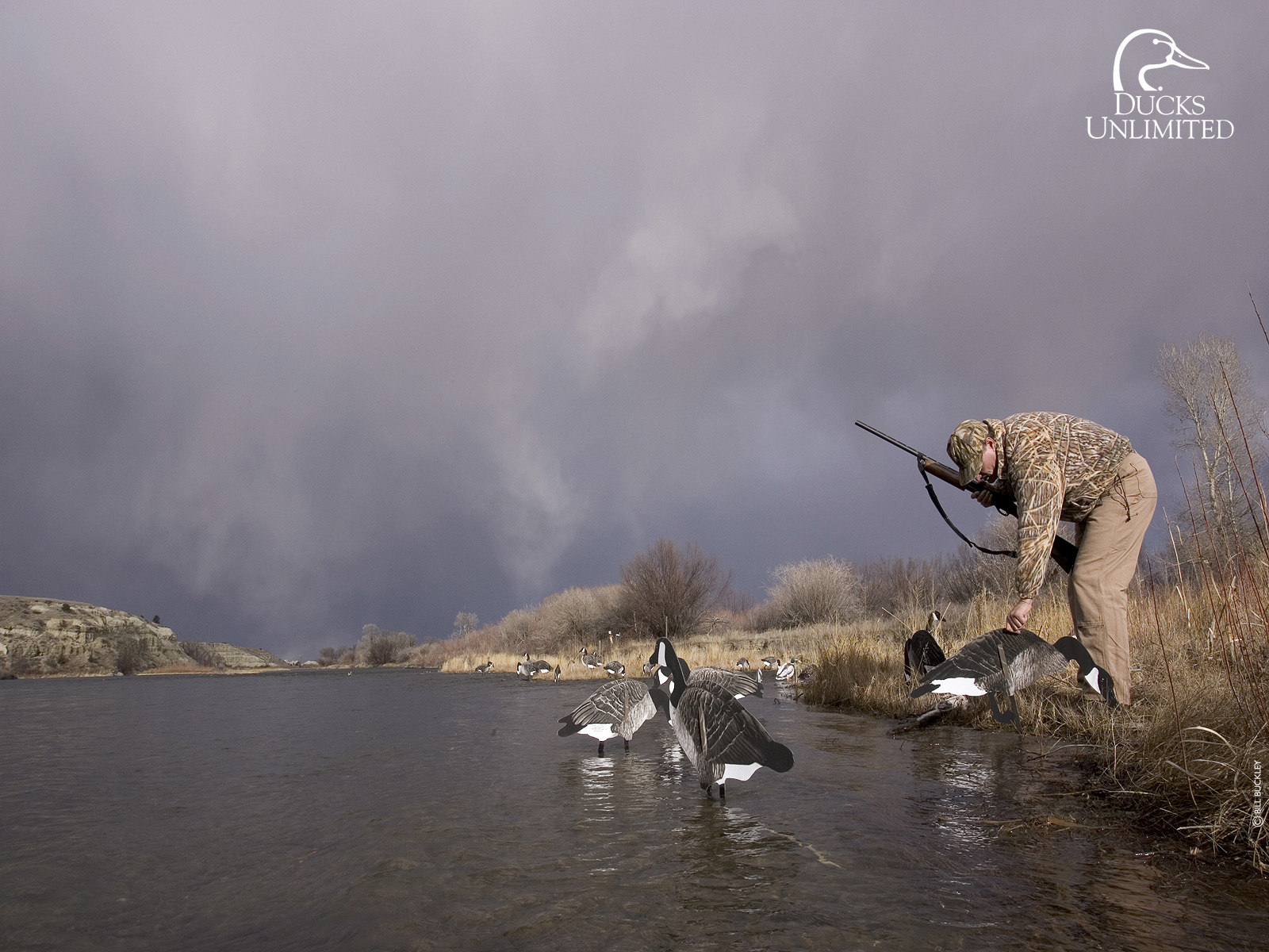 ducks unlimited wallpaper,atmospheric phenomenon,wildlife,bank,fly fishing,river