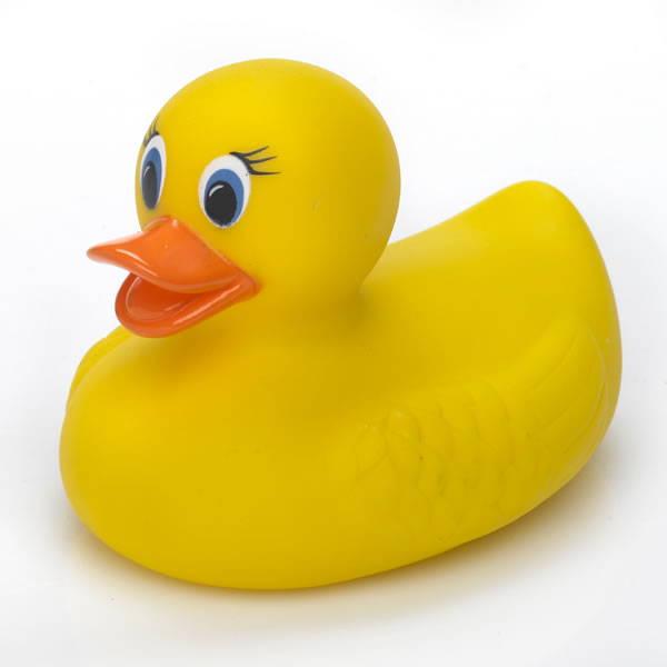 Rubber Duck Wallpaper Border Hot Safety Bath Ducky - Bath Toy- WallpaperUse