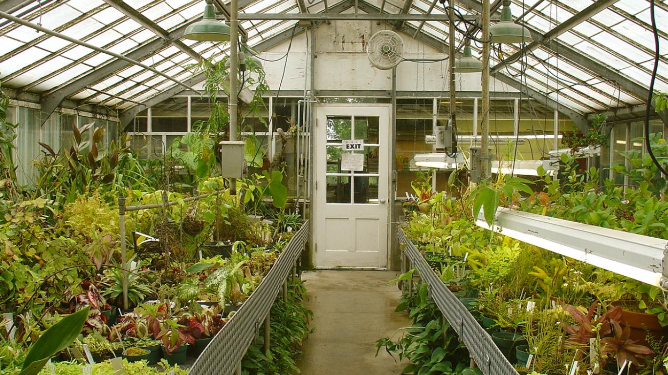 Greenhouse Miscellaneous - Green House Design- WallpaperUse