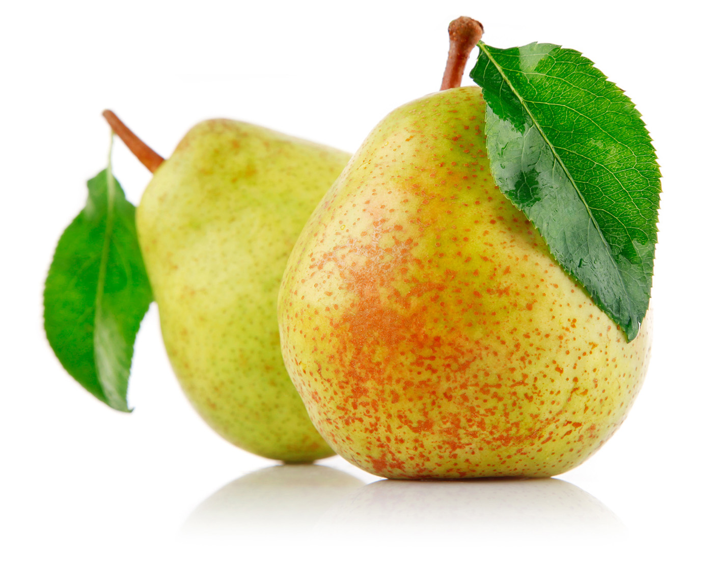 pear wallpaper,pear,pear,fruit,natural foods,tree