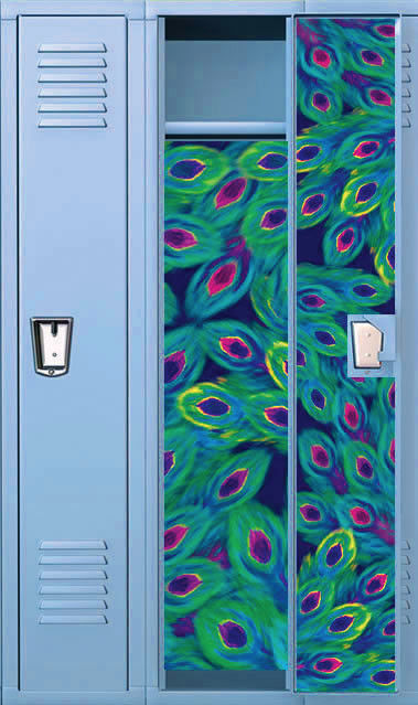 locker wallpaper cheap,door,locker,machine,glass,metal