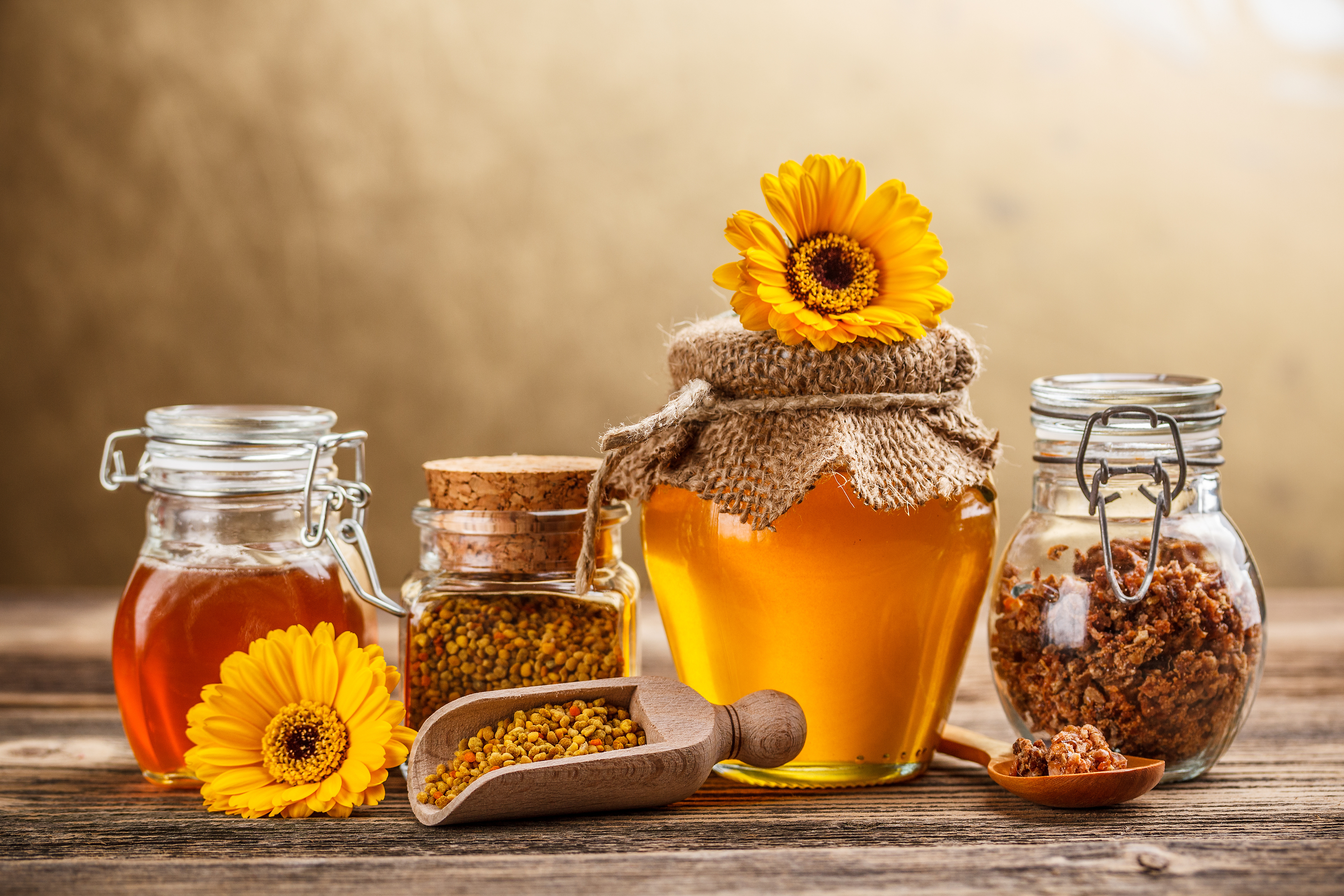 honigtapete,sonnenblume,honigbiene,honig,sonnenblumensamen,essen