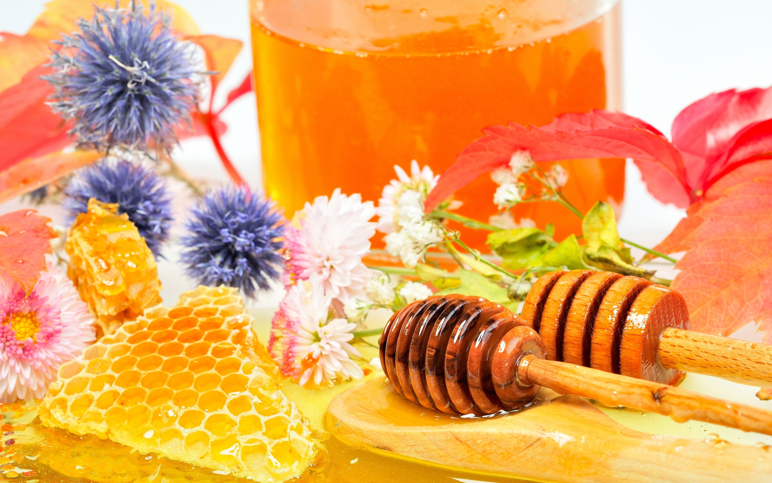 honey wallpaper,food,honeybee,sweetness,honey,cuisine