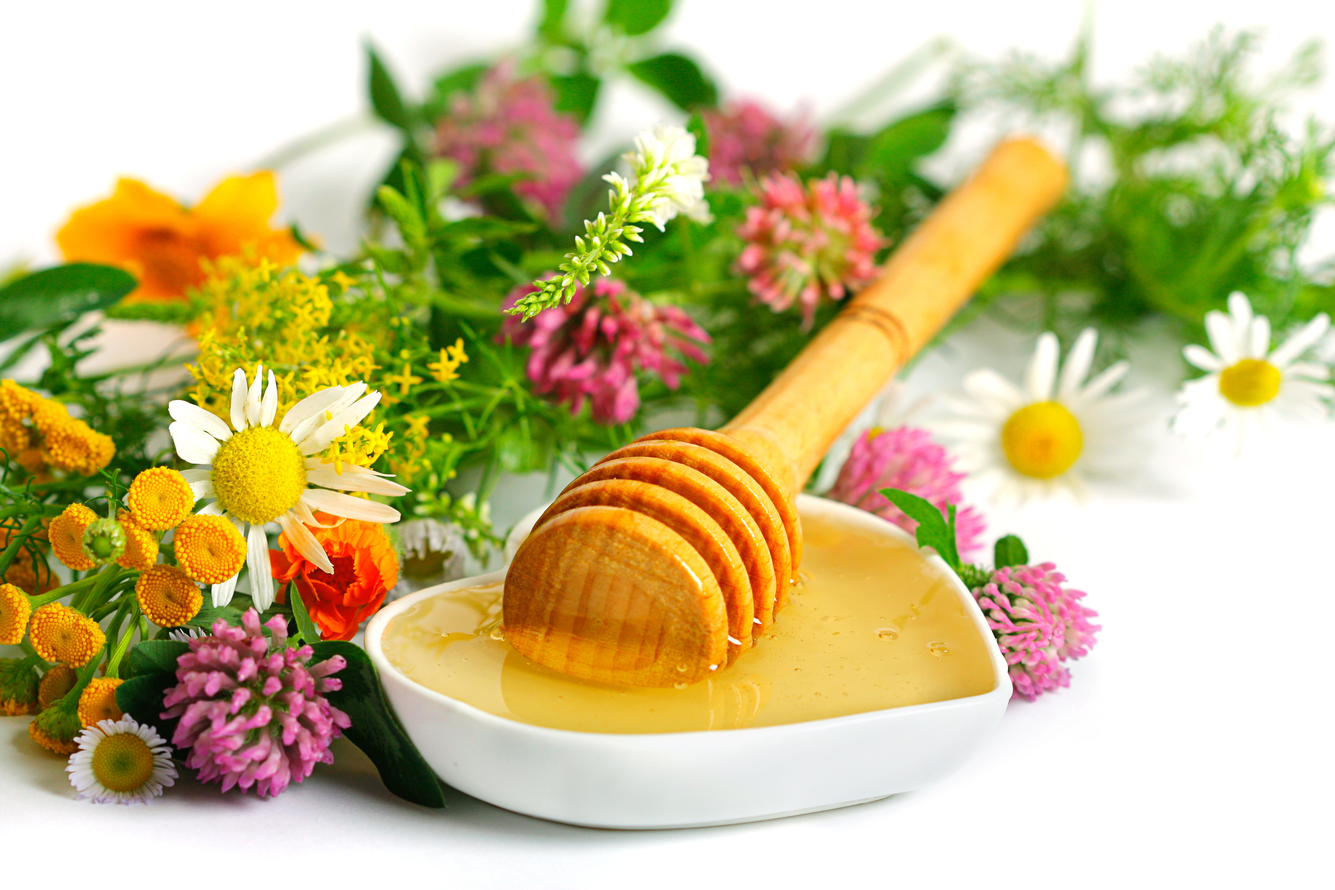 honey wallpaper,food,dish,ingredient,cuisine,parsley