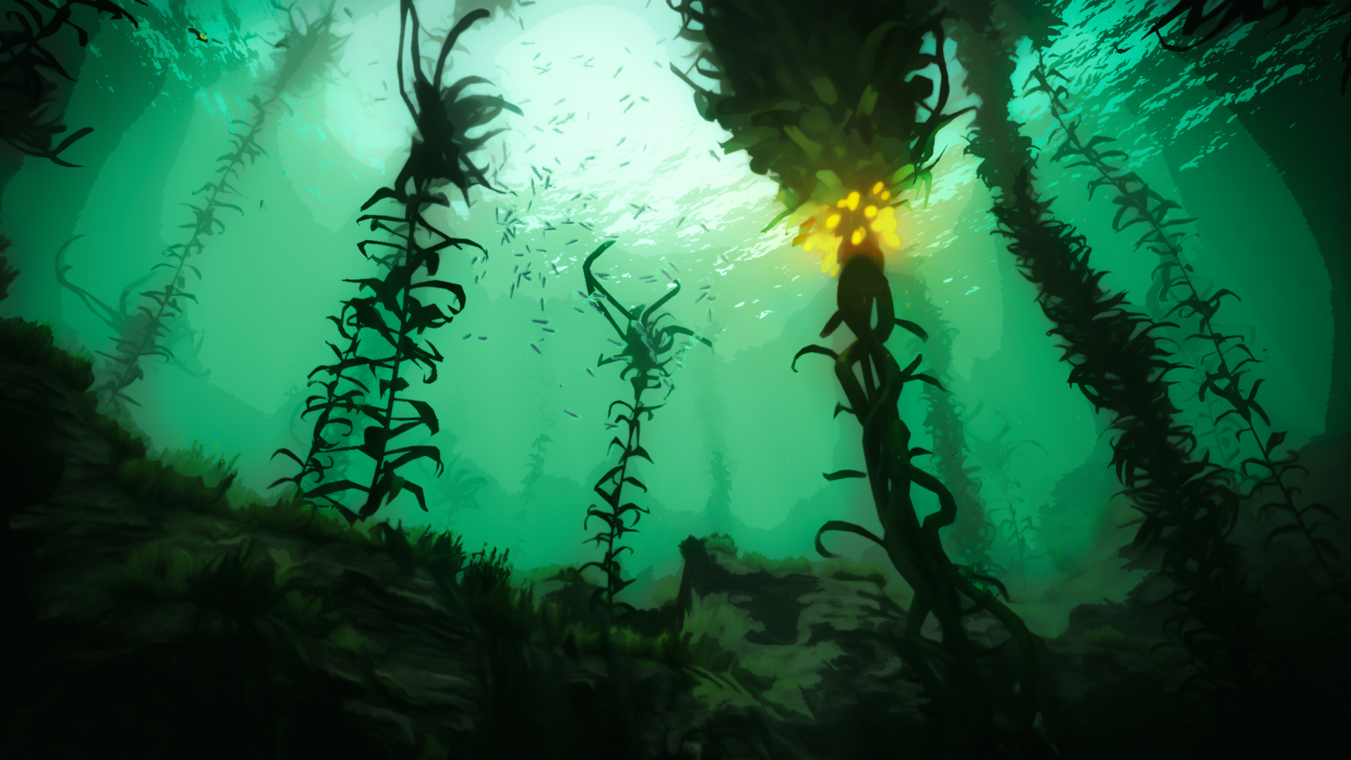 seaweed wallpaper,macrocystis pyrifera,kelp,green,macrocystis,seaweed
