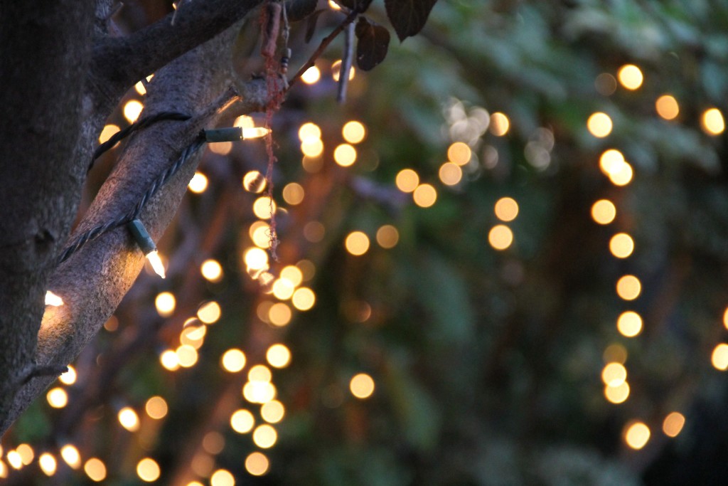 cadena de papel tapiz,luces de navidad,encendiendo,árbol,ligero,navidad