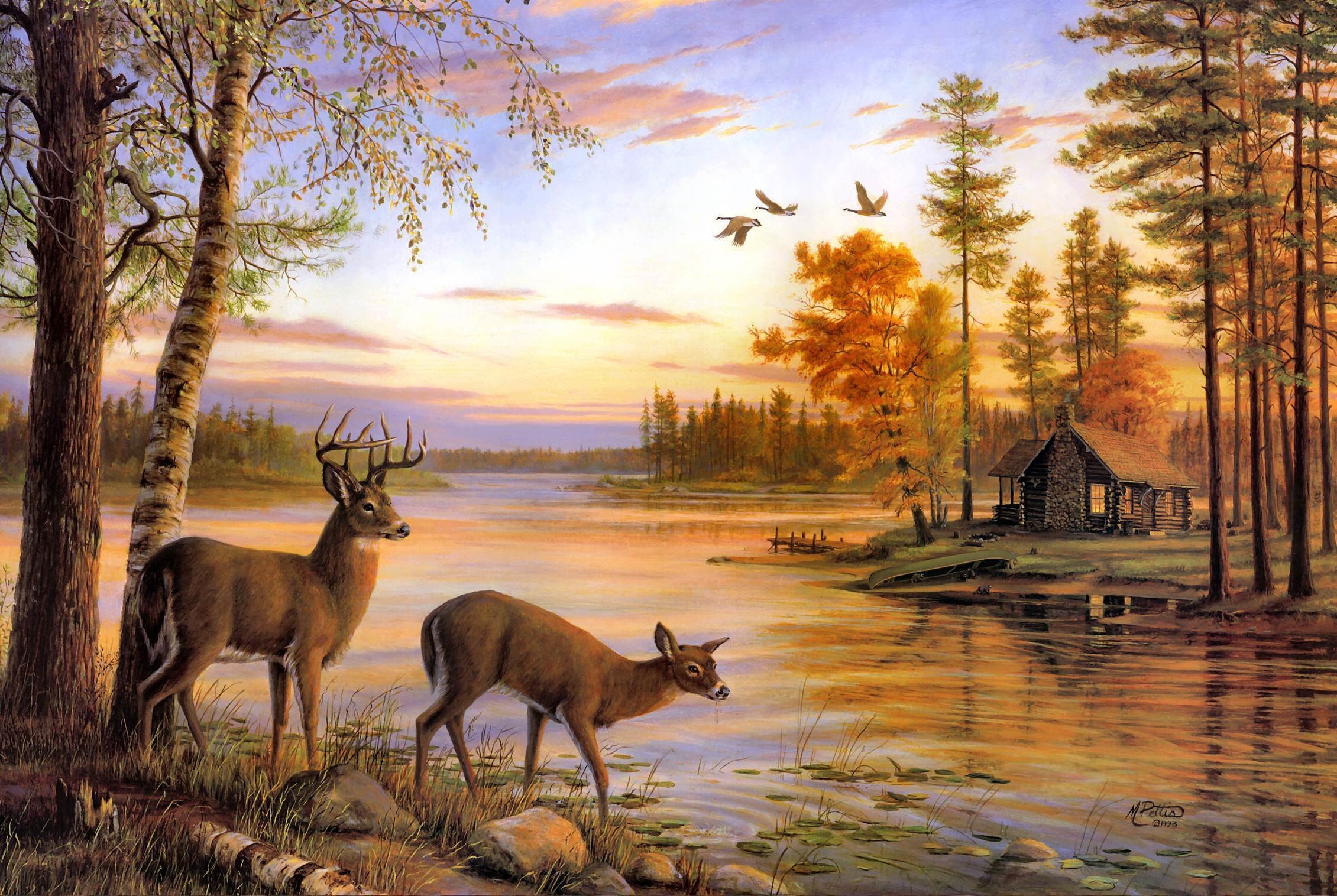 deer wallpaper for walls,wildlife,nature,deer,natural landscape,painting