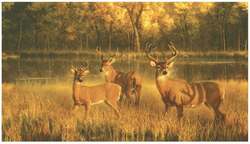 papel tapiz de venado para paredes,fauna silvestre,ciervo,cuerno,alce,césped