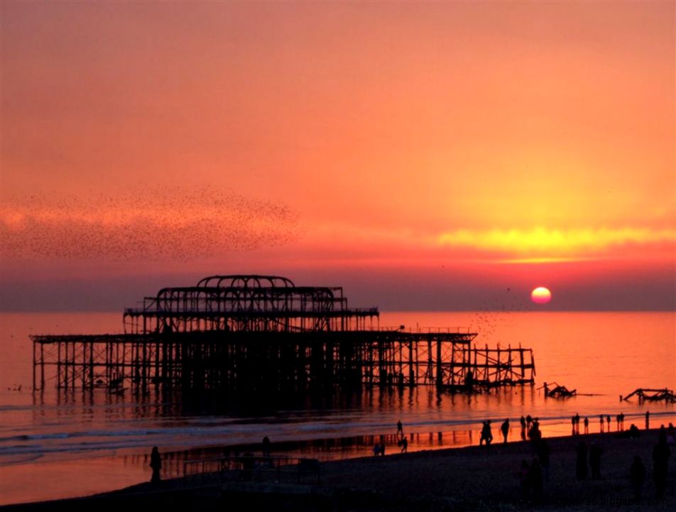 brighton wallpaper,sky,pier,sunset,horizon,sunrise