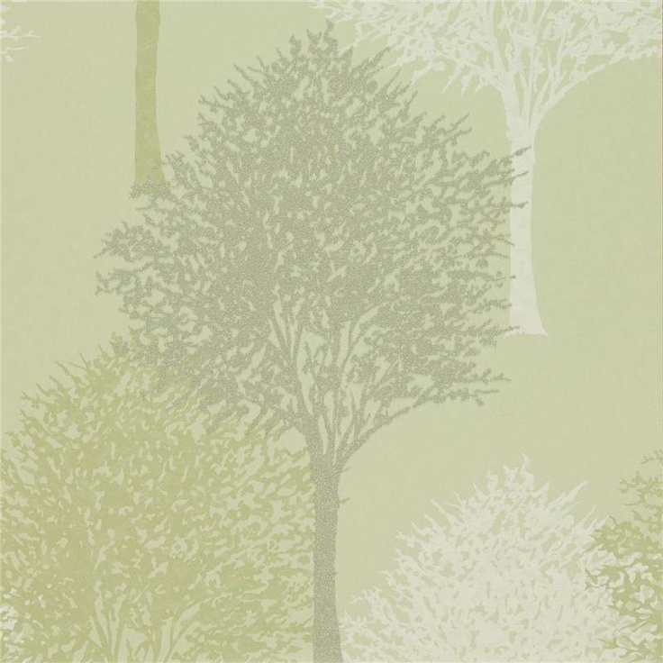 sage green wallpaper,green,tree,atmospheric phenomenon,wallpaper,leaf