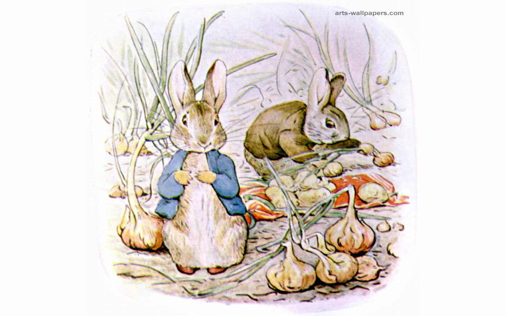 beatrix potter tapete,hase,hase,kaninchen und hasen,illustration,hauskaninchen