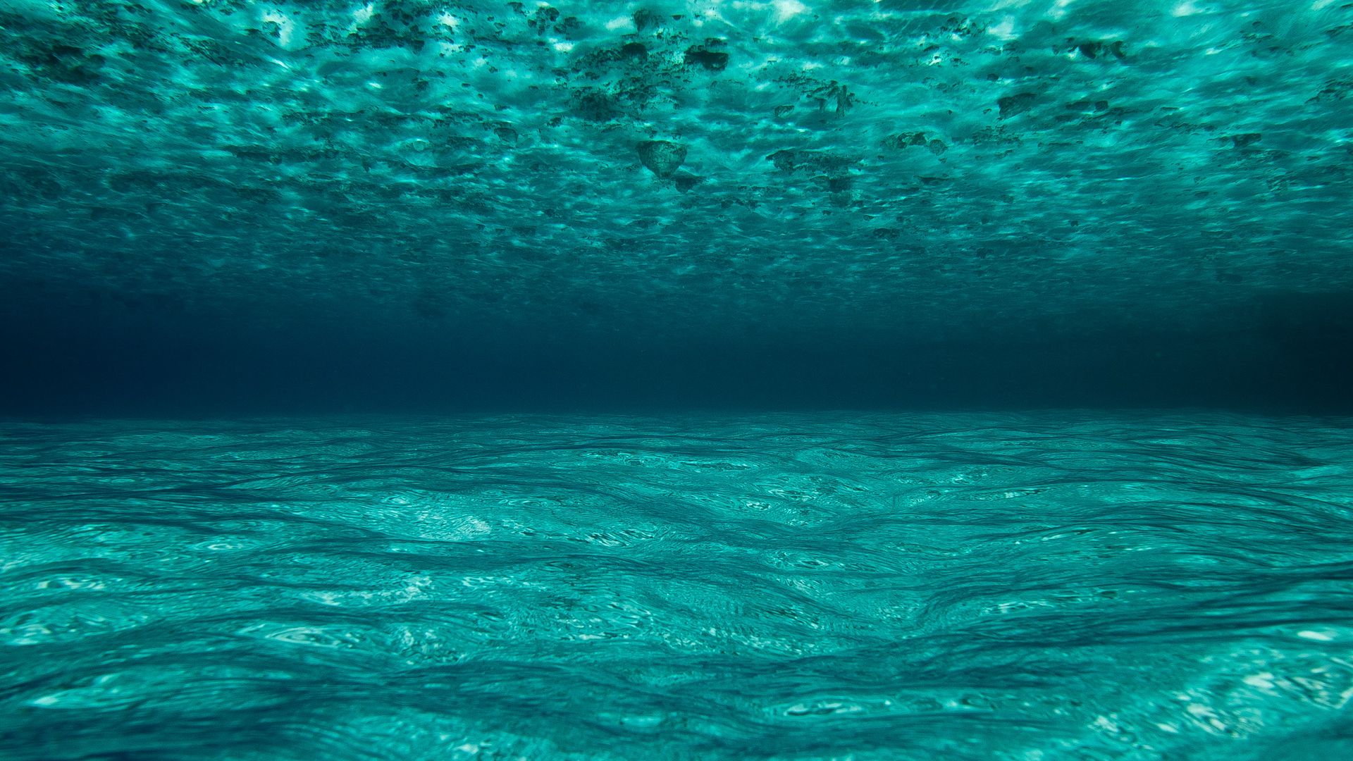 1280x720 fonds d'écran full hd,l'eau,bleu,aqua,turquoise,sous marin