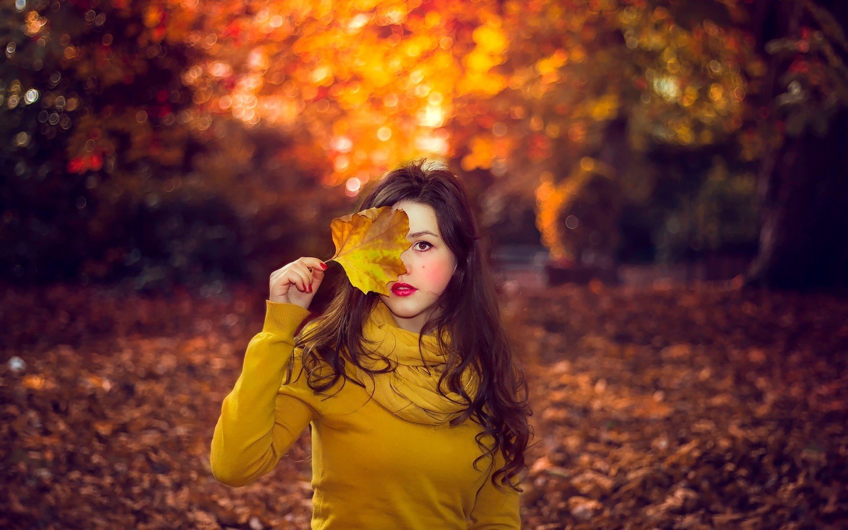 5.5 fondo de pantalla hd,cabello,naturaleza,amarillo,fotografía,hoja