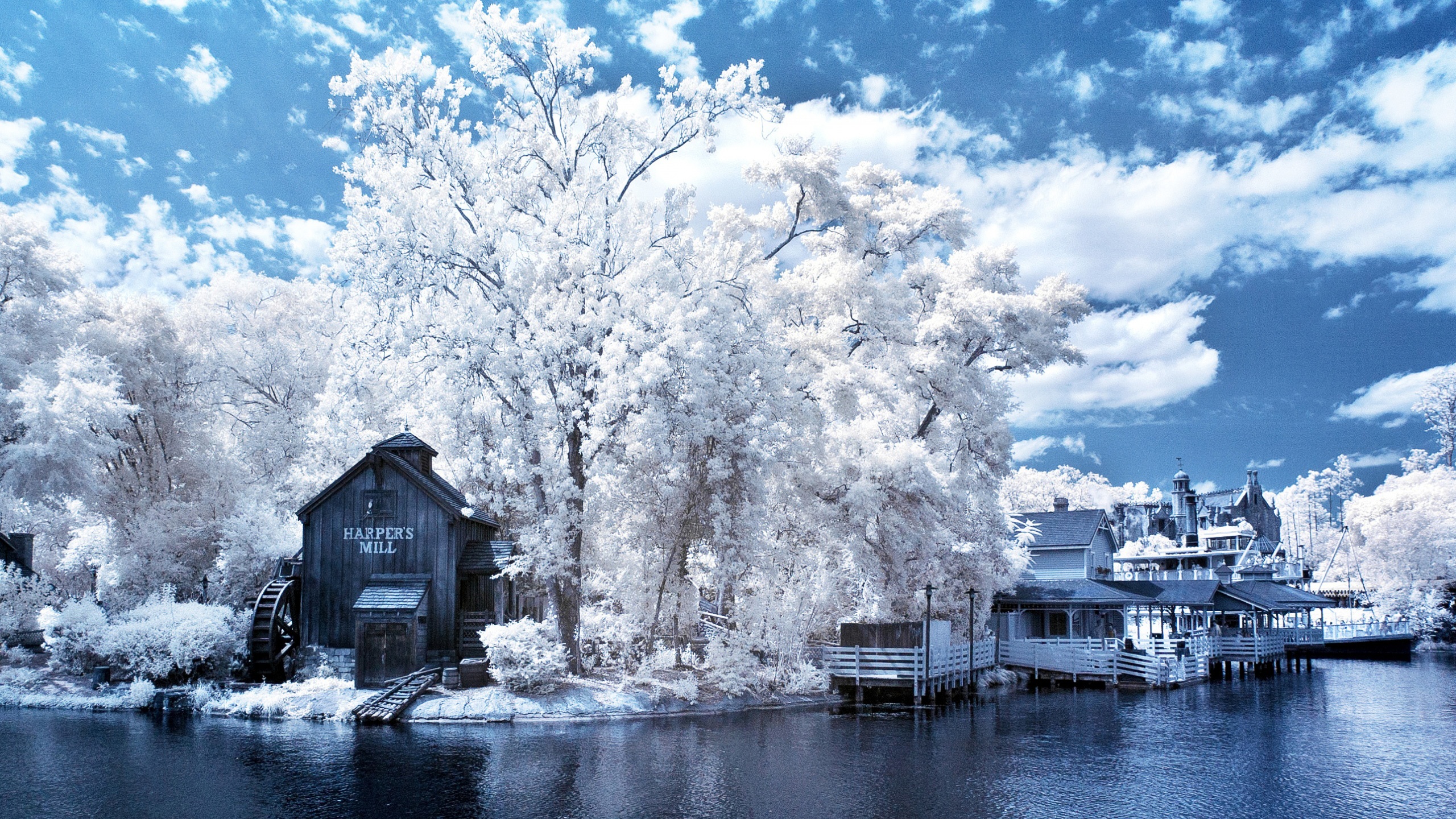 fonds d'écran hd 1440 x 2560,hiver,paysage naturel,neige,ciel,gel