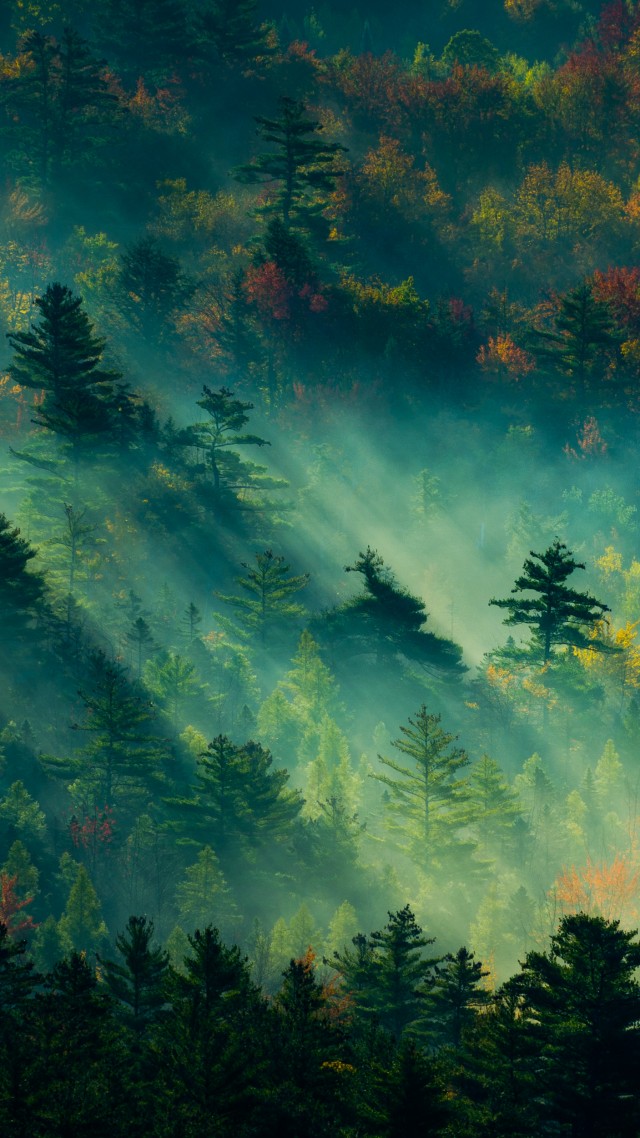 1280x720 tapeten hd vertikal,himmel,natur,grün,wolke,atmosphäre