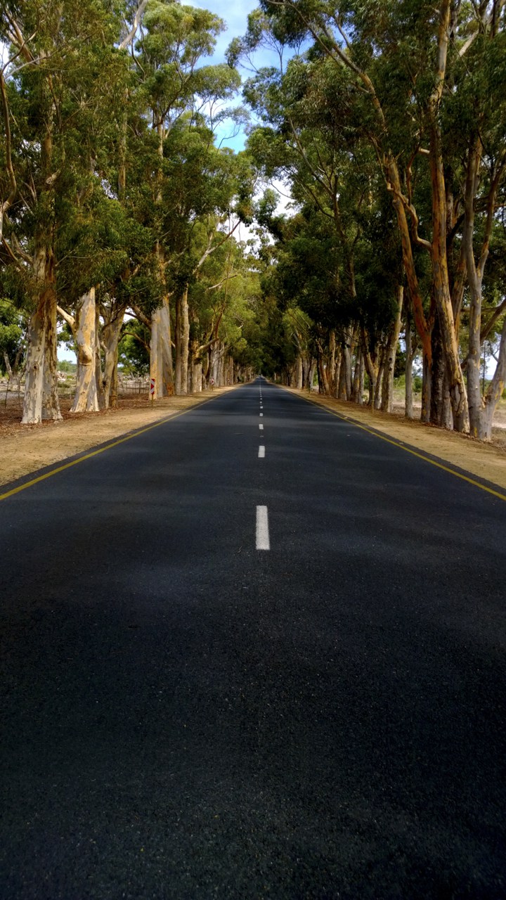 720x1280 fonds d'écran hd zip,asphalte,route,voie,surface de la route,rue