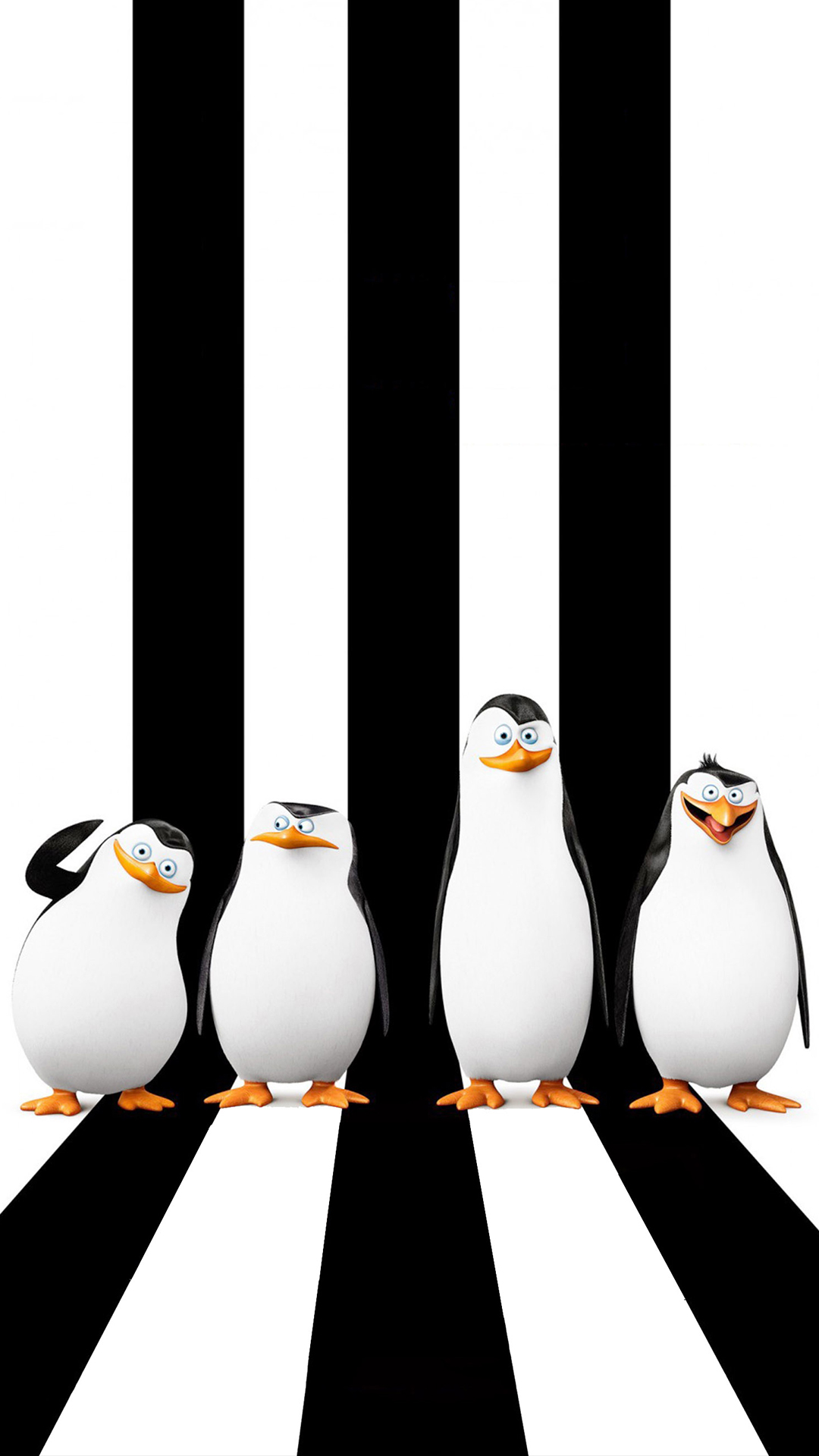 fondos de pantalla hd móvil 1080p,ave no voladora,pingüino,pájaro