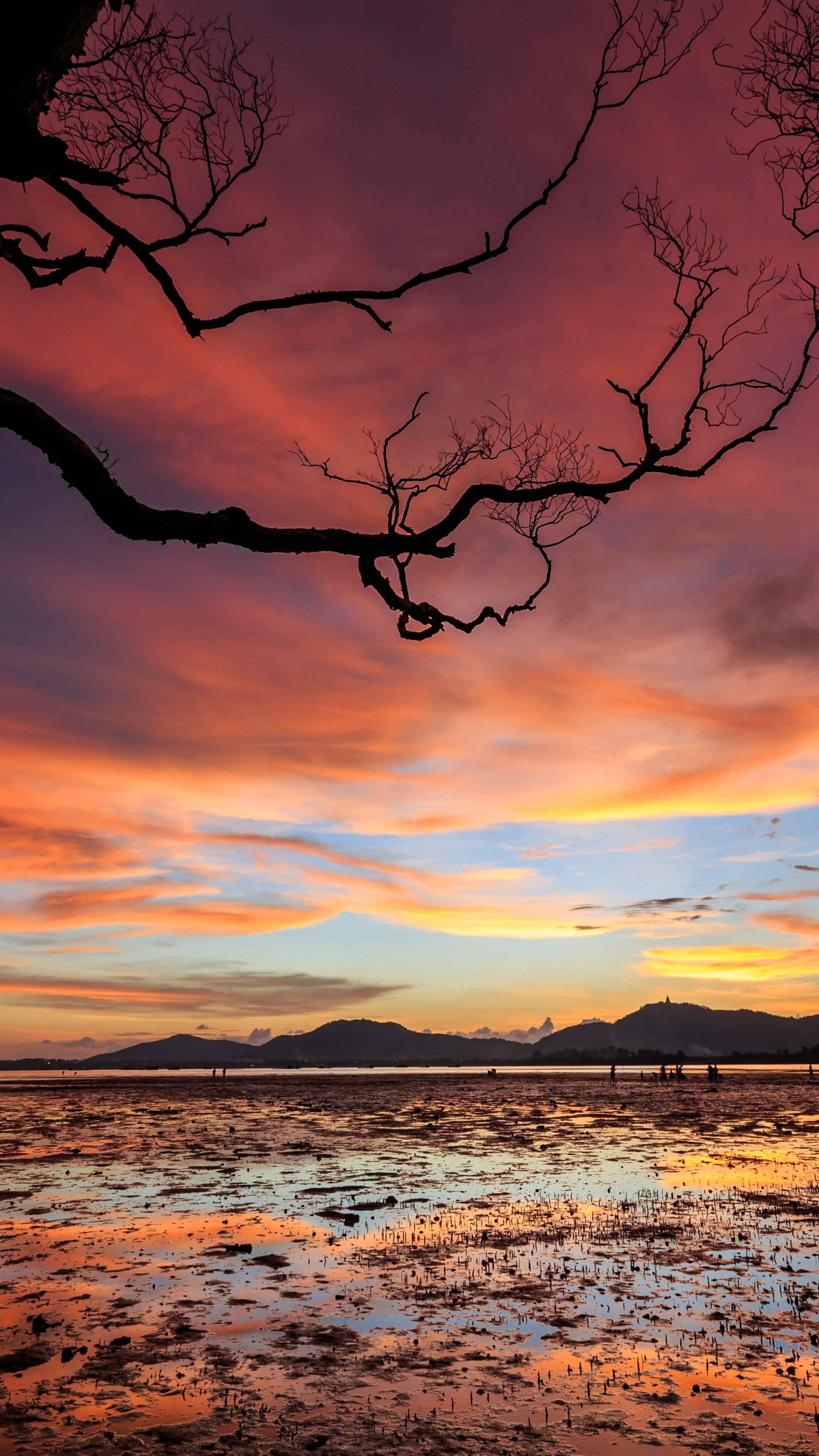 citazioni di sfondi hd 720x1280,cielo,natura,ultimi bagliori,paesaggio naturale,cielo rosso al mattino