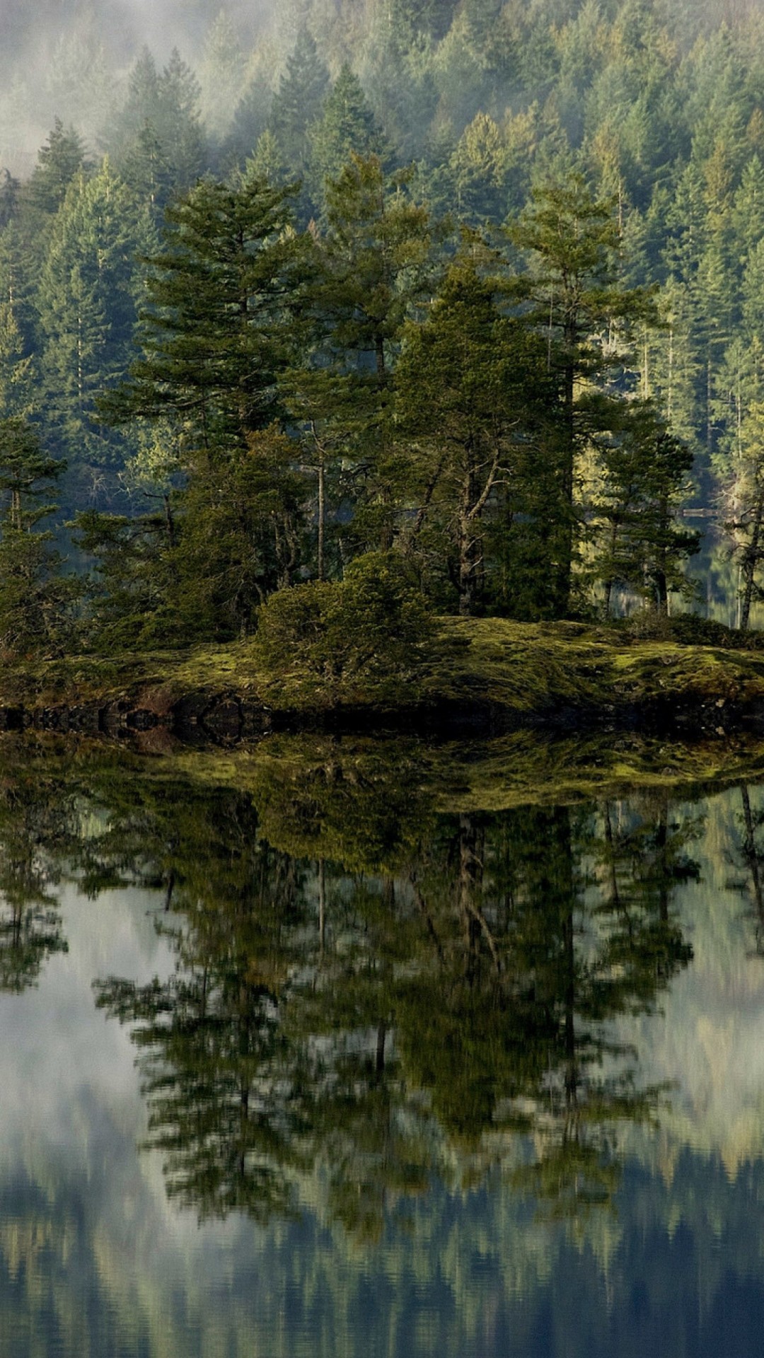 fondos de pantalla hd telefon,reflexión,paisaje natural,naturaleza,agua,árbol