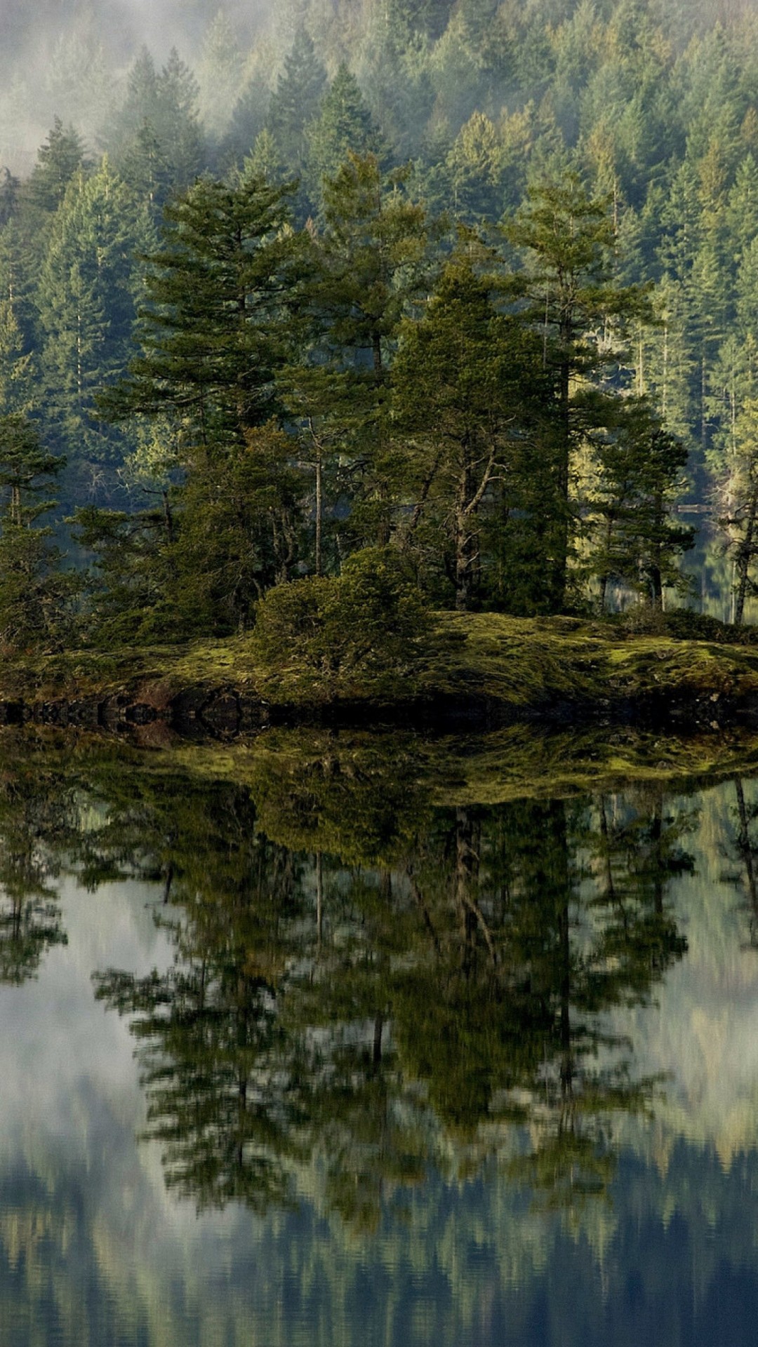 tapete hd telefon,betrachtung,natürliche landschaft,natur,wasser,baum