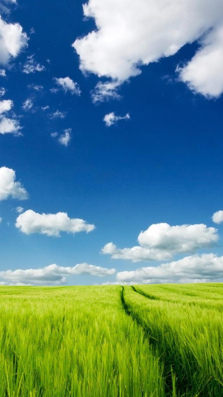 모바일 월페이퍼 720x1280,하늘,자연 경관,목초지,자연,들