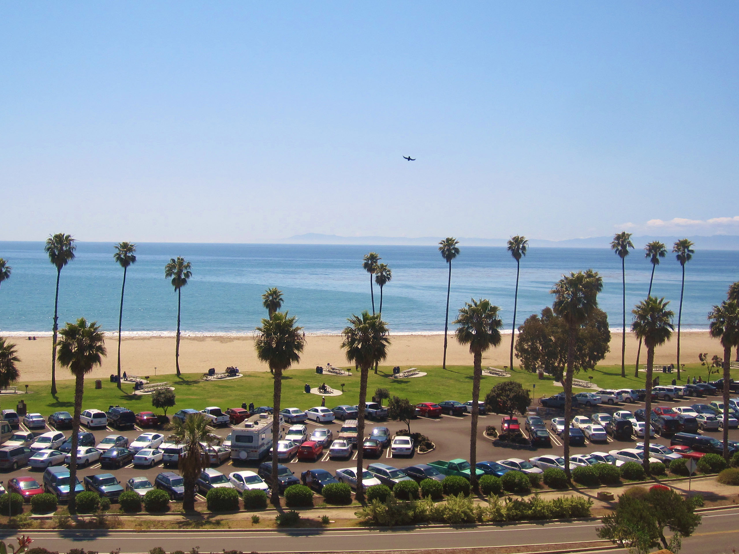 santa barbara wallpaper,beach,shore,coast,tree,sea