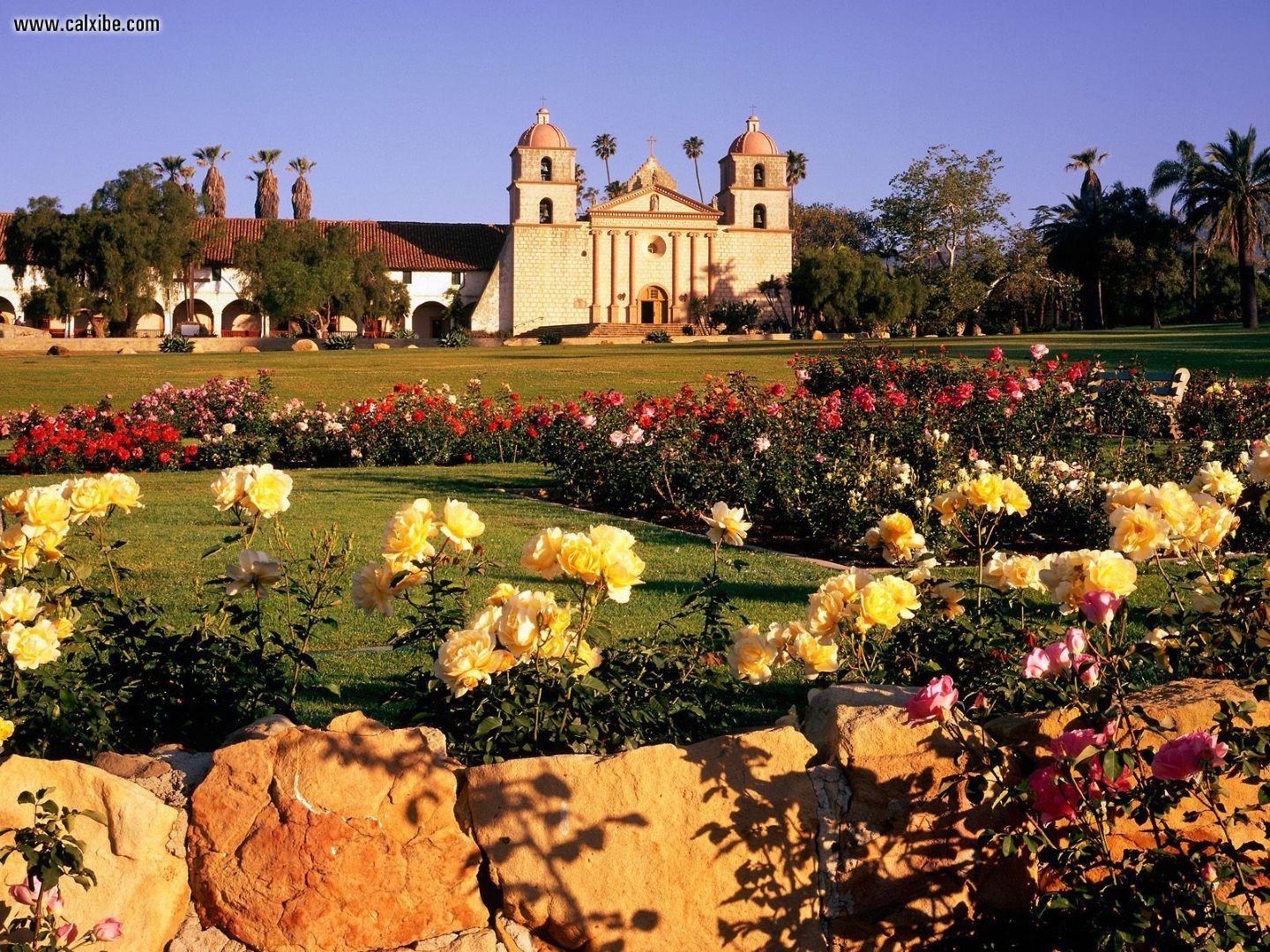 santa barbara tapete,garten,natürliche landschaft,blume,pflanze,frühling