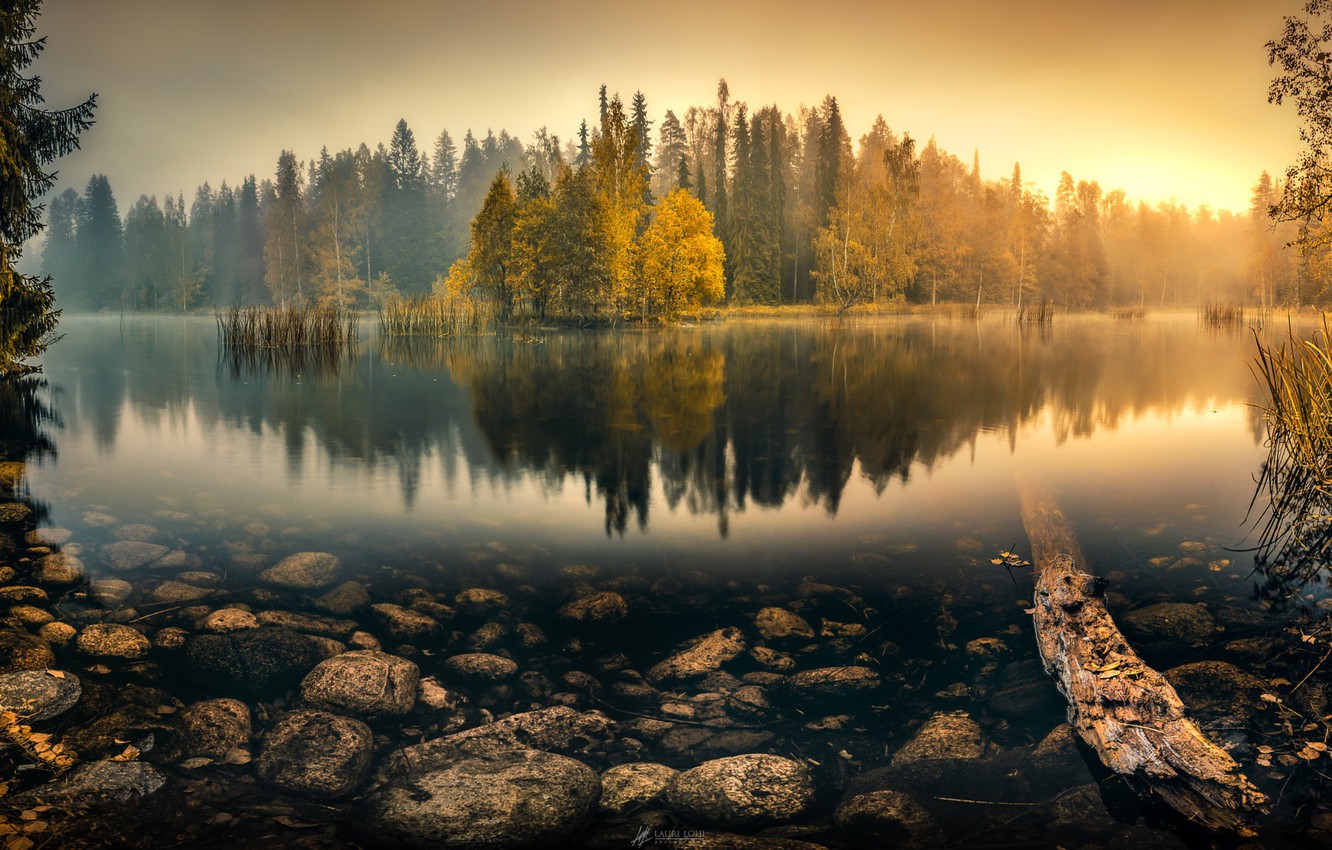 carta da parati tranquilla,paesaggio naturale,riflessione,natura,albero,cielo