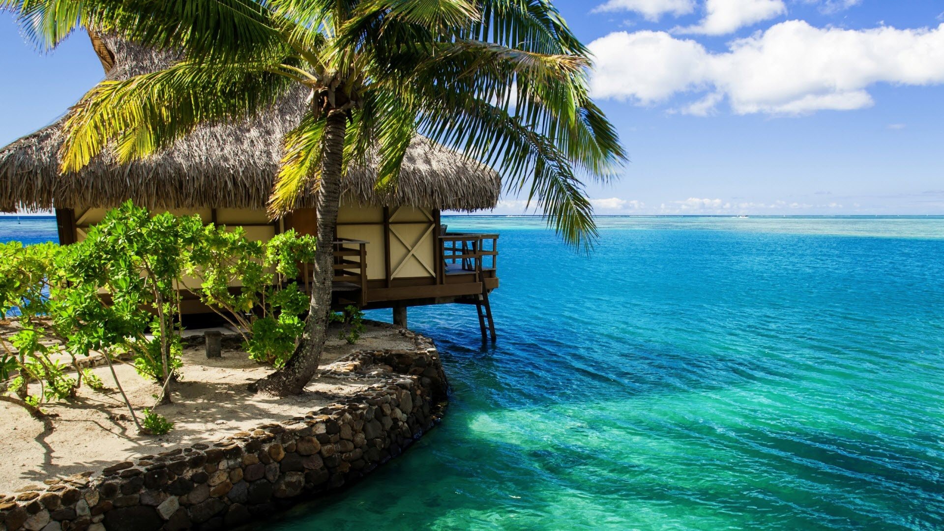 fond d'écran maison de plage,la nature,paysage naturel,caraïbes,arbre,palmier