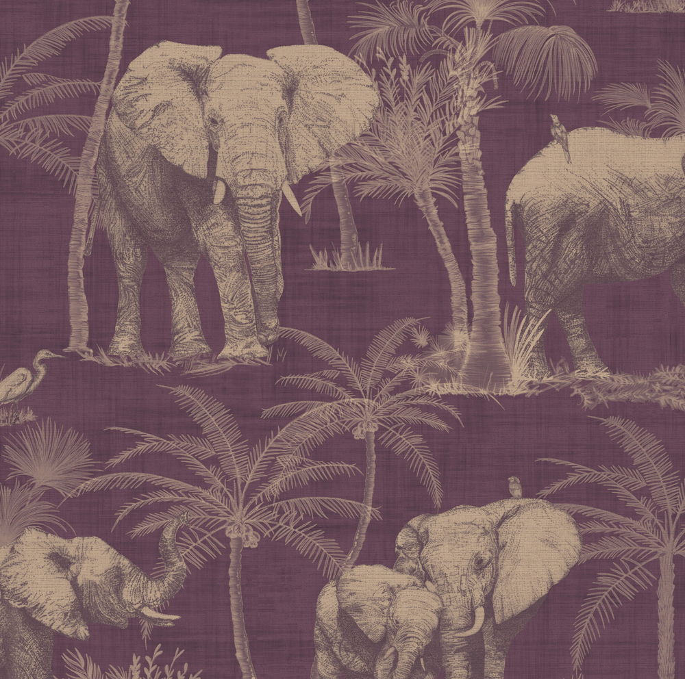 aubergine wallpaper,elephant,elephants and mammoths,indian elephant,african elephant,terrestrial animal