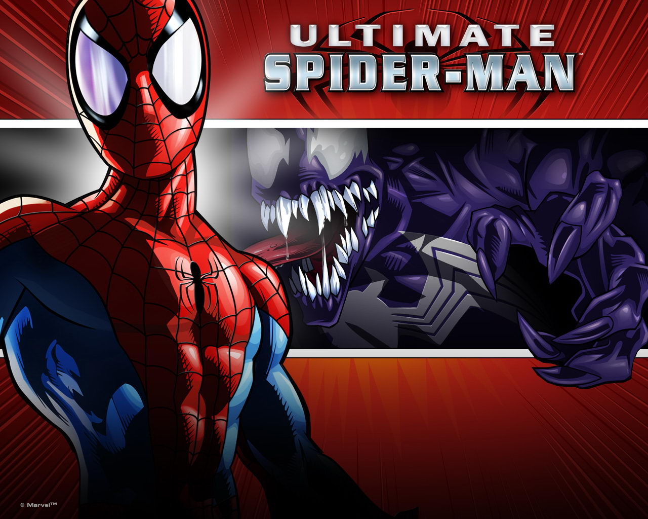 örümcek adam wallpaper,fictional character,superhero,spider man,comics,hero