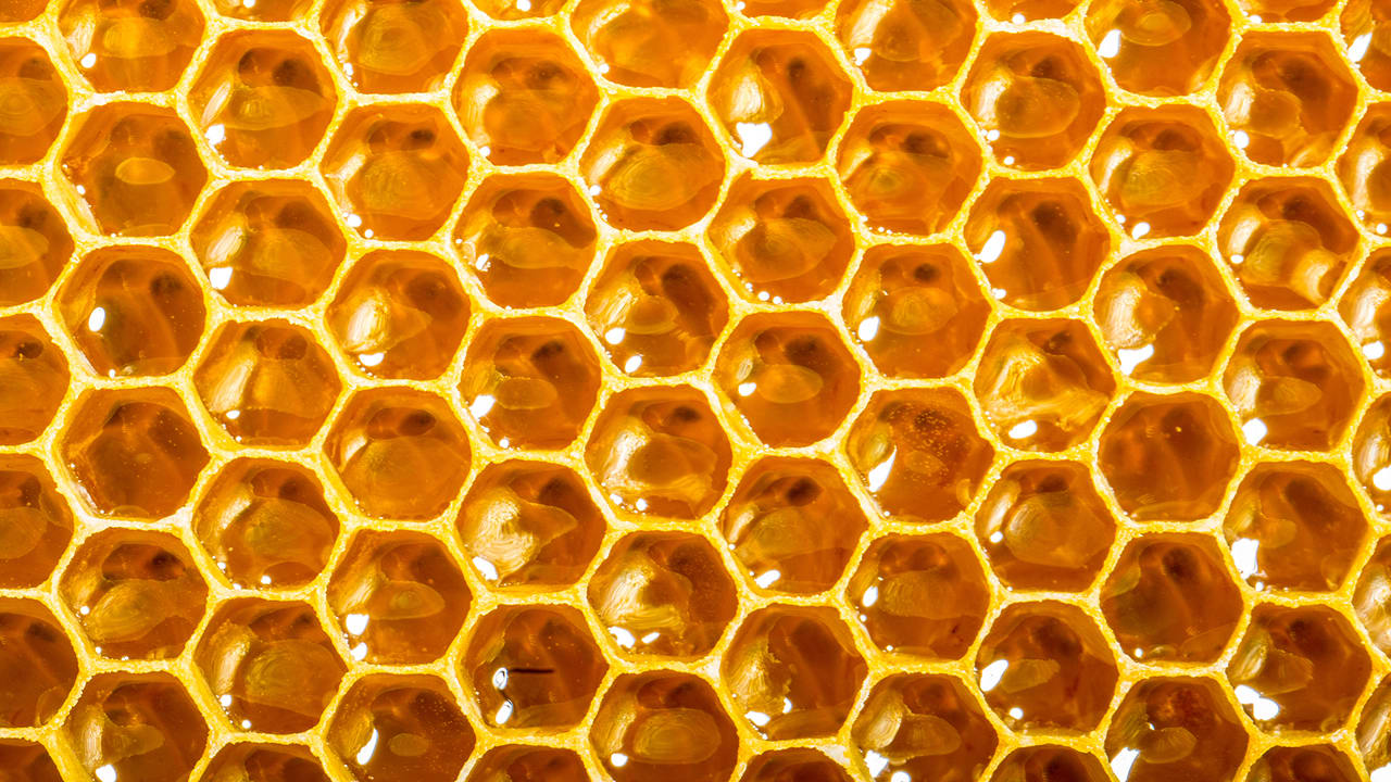 蜂の巣の壁紙,蜂の巣,パターン,黄,ハニカム,オレンジ