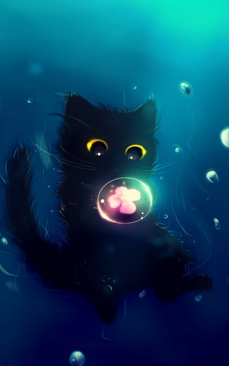320x480 hd wallpapers,black cat,whiskers,organism,cat,snout