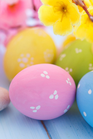 320x480 hd wallpapers,easter egg,balloon,easter,food