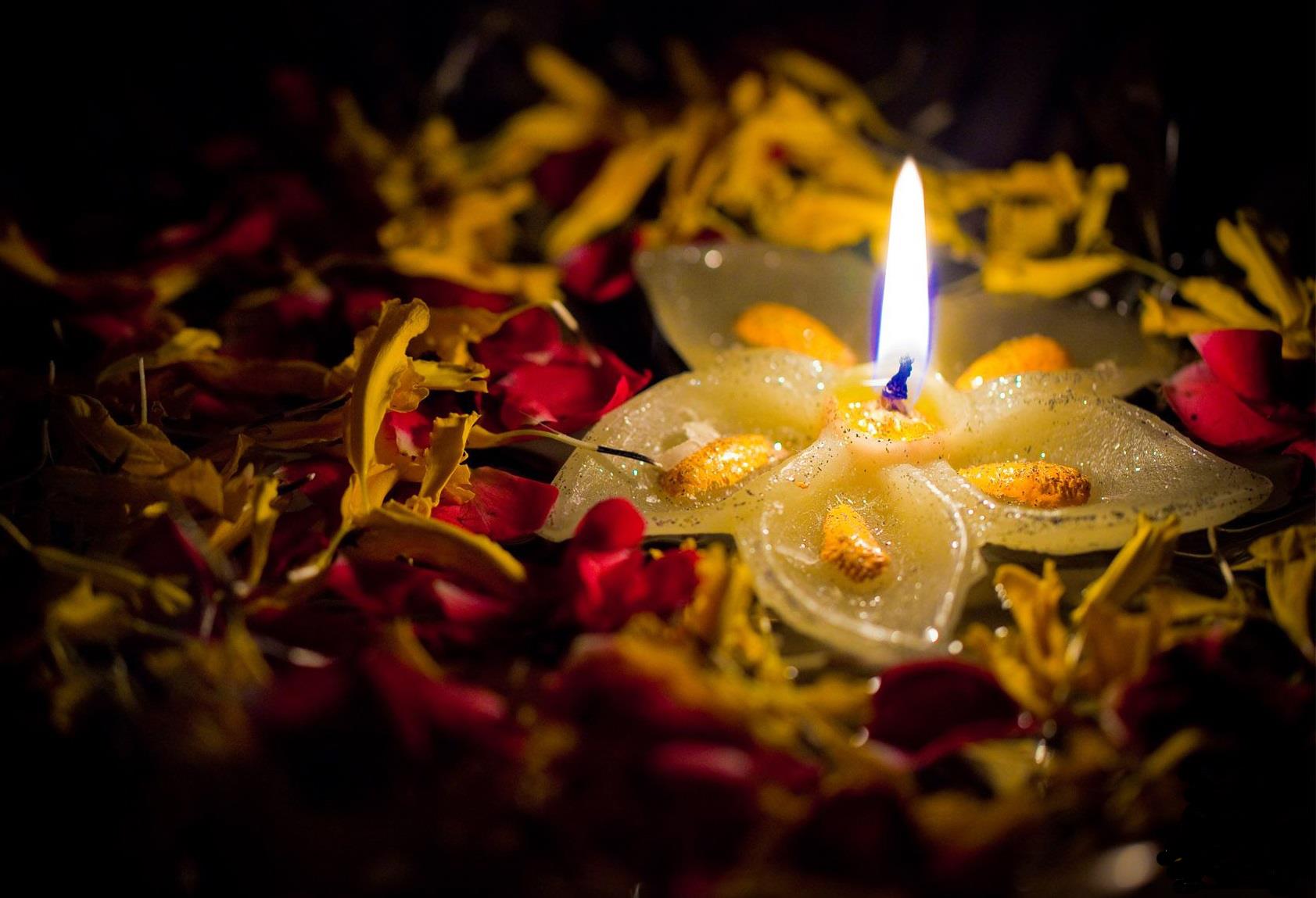 deepawali wallpaper hd,lighting,flame,candle,sky,petal