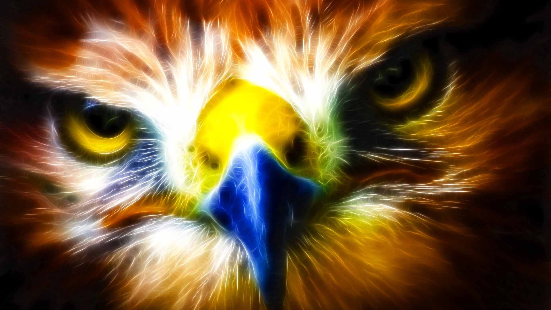 fondo de pantalla maken,pájaro,águila,ave de rapiña,águila dorada,de cerca