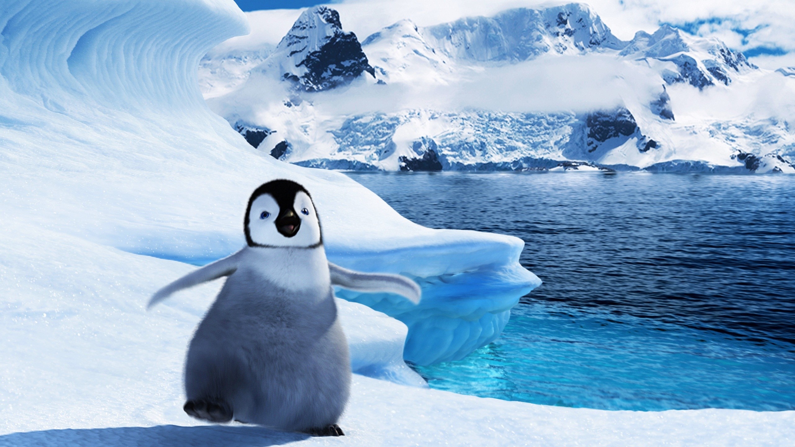 penguin desktop wallpaper,flightless bird,penguin,polar ice cap,bird,ice