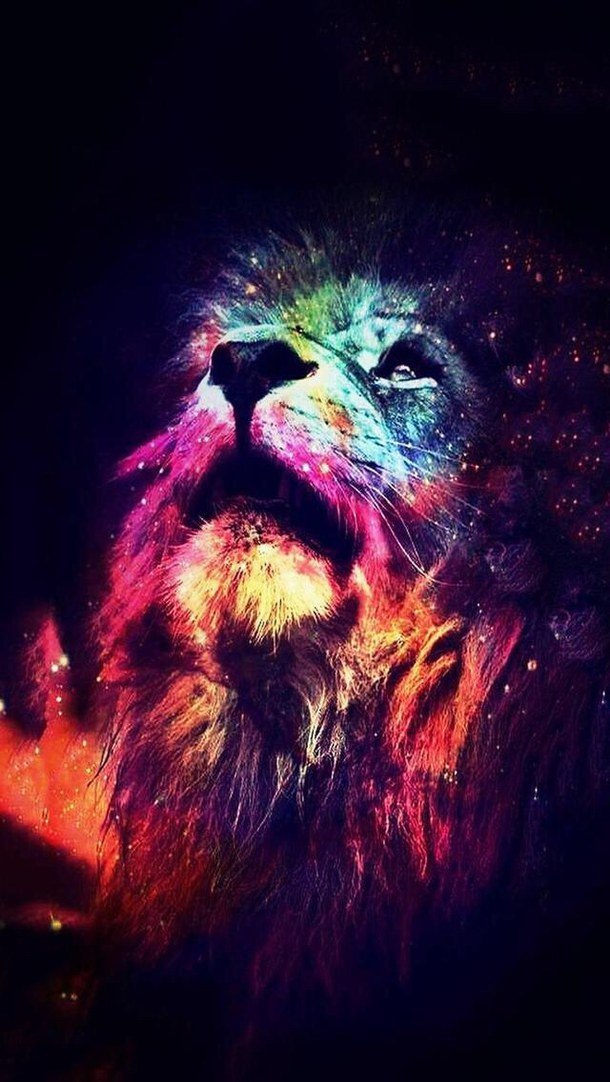 king wallpaper iphone,lion,illustration,felidae,darkness,eagle