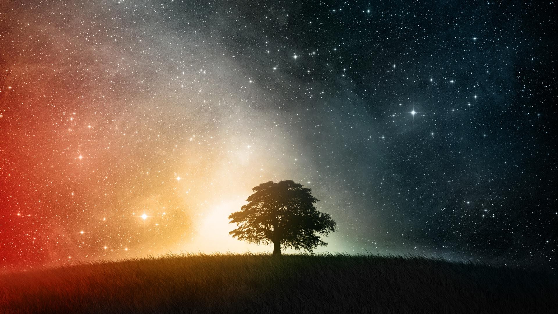 tag und nacht tapete,himmel,natur,atmosphäre,baum,natürliche landschaft