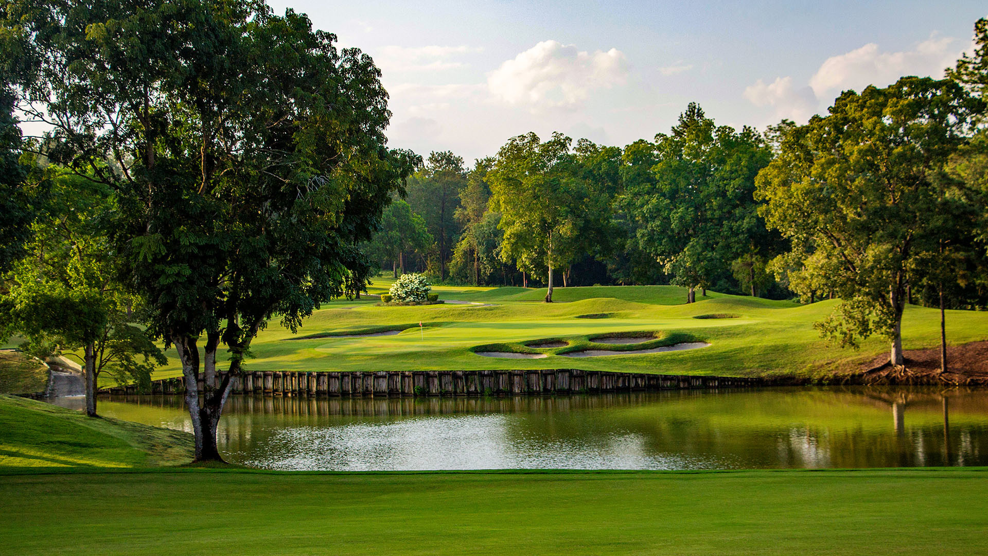 club de papier peint,paysage naturel,la nature,vert,terrain de golf,prairie