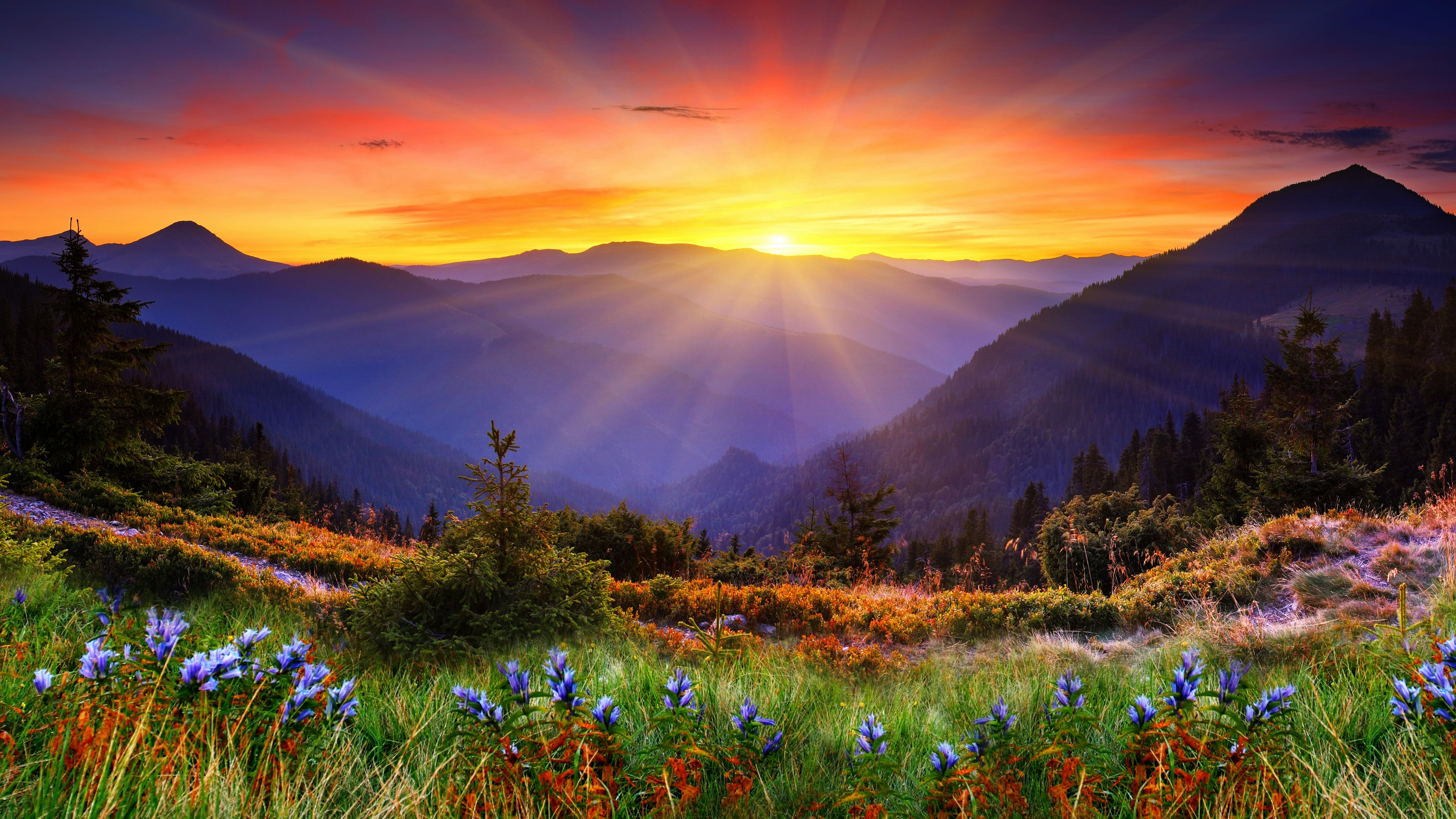 tapete neue tapete,natur,natürliche landschaft,berg,himmel,morgen