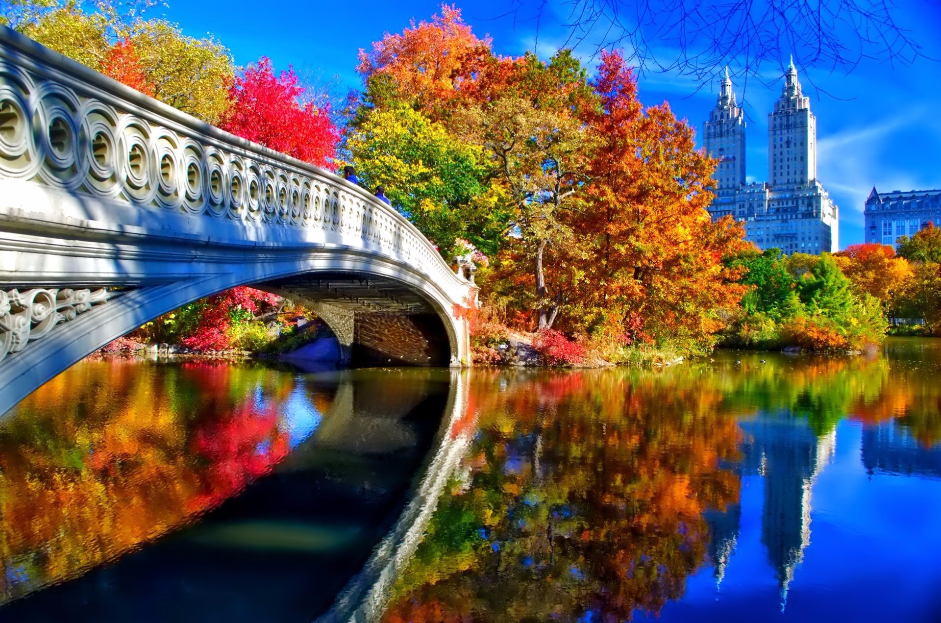 central park wallpaper,reflection,nature,natural landscape,landmark,sky