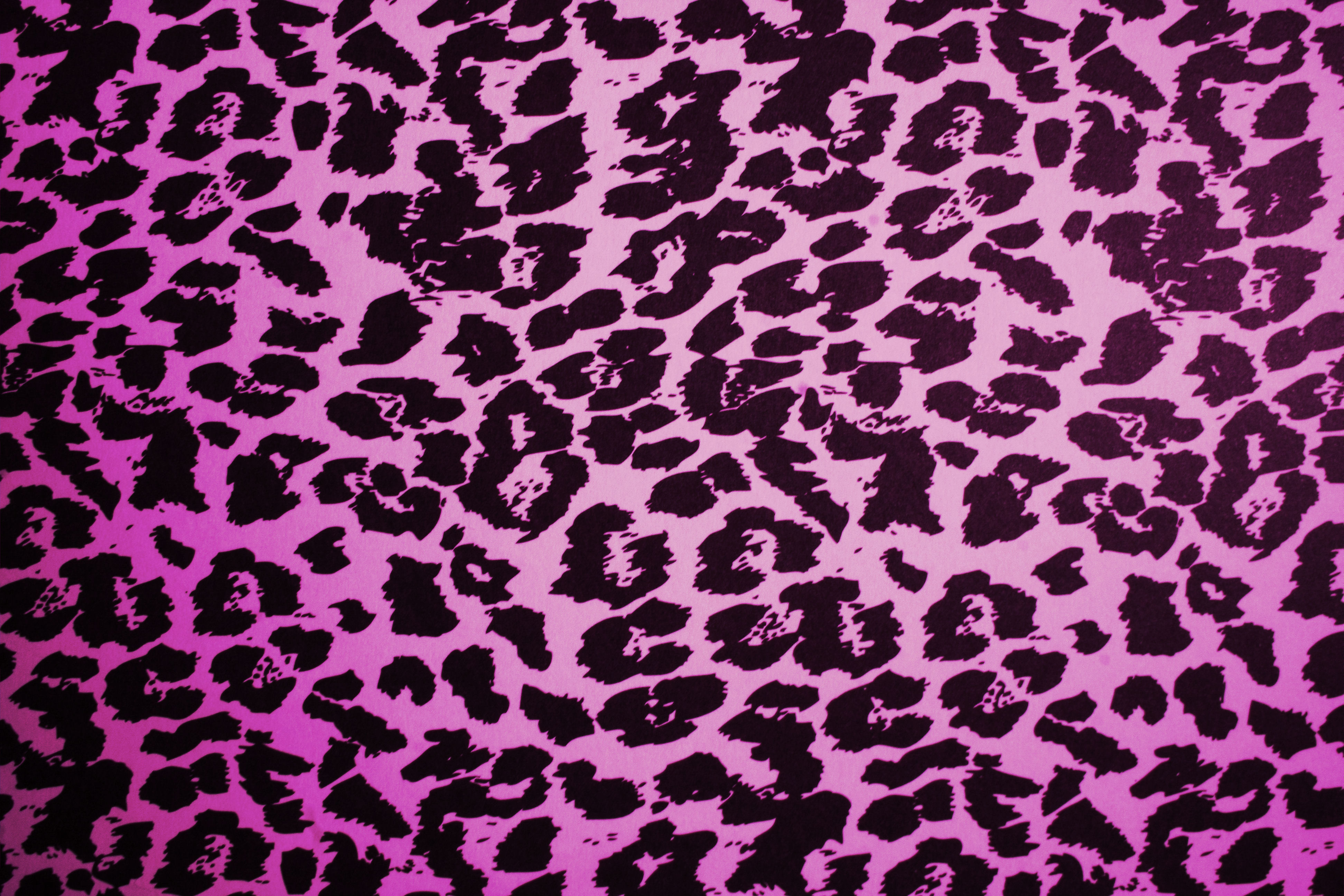 carta da parati leopardo rosa,rosa,viola,modello,viola,tessile