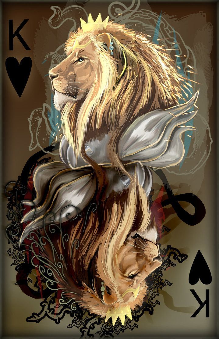 왕 카드 벽지,사자,felidae,삽화,큰 고양이,야생 동물