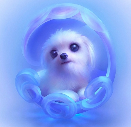 anime dog wallpaper,canidae,dog,bichon,maltese,puppy