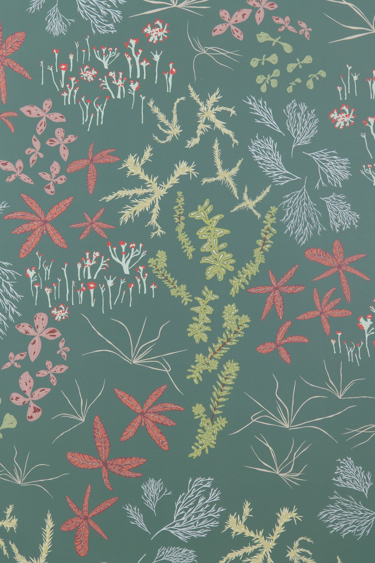 沼地の壁紙,緑,パターン,葉,設計,繊維