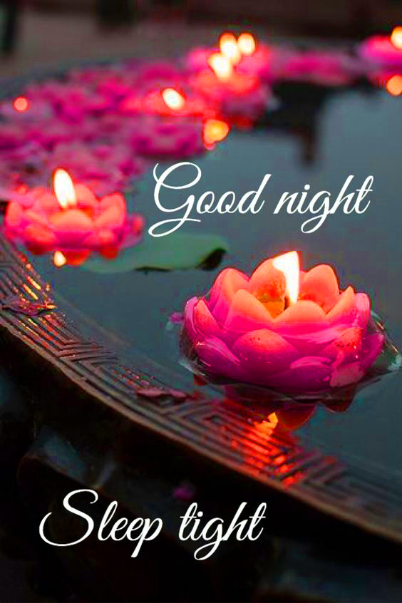 good night rose wallpaper download,lighting,text,petal,font,love