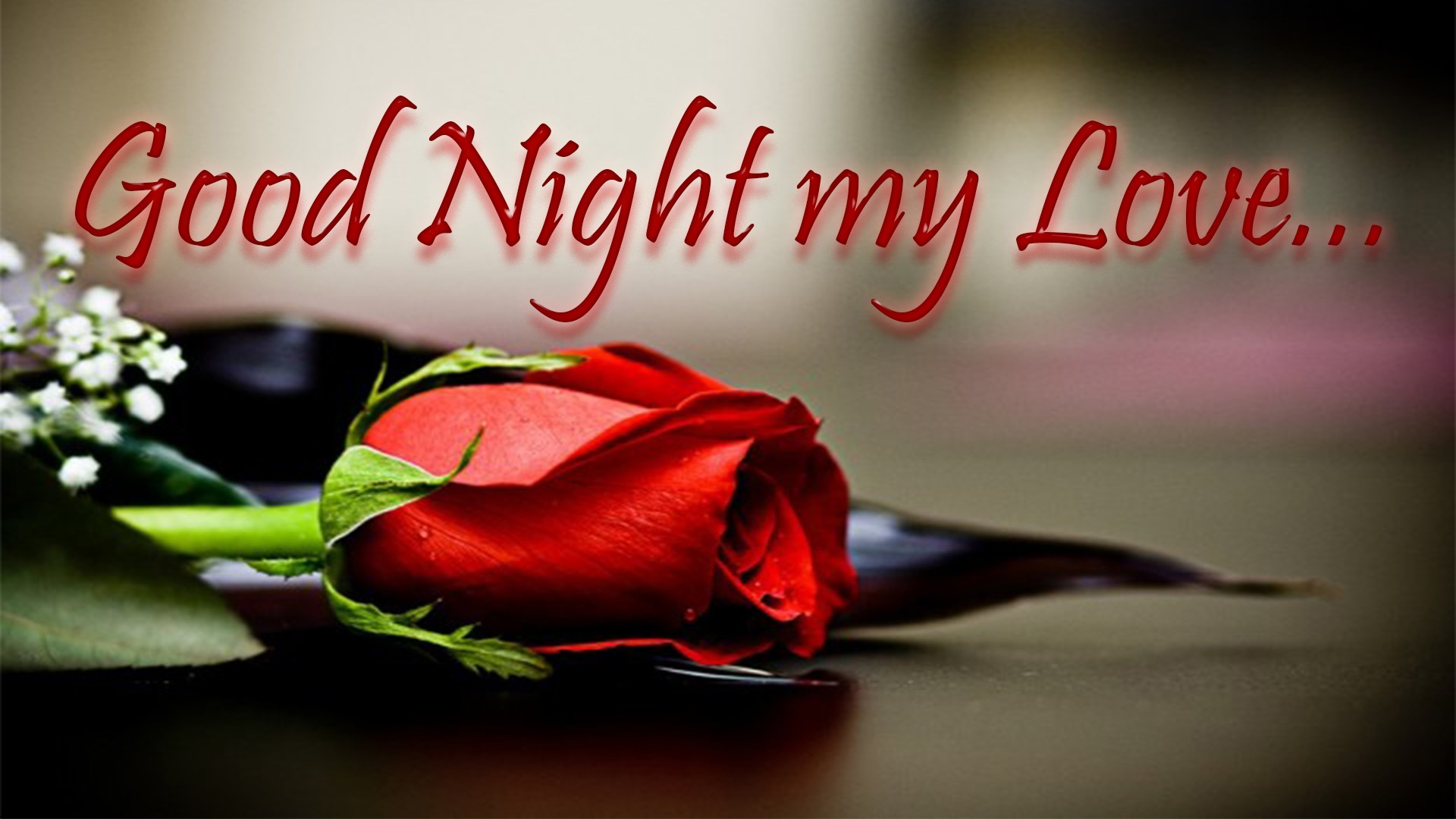 good night rose wallpaper download,red,valentine's day,petal,rose,love